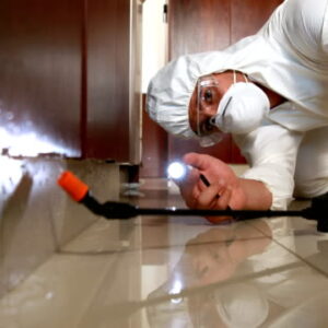 Man doing pest control in a kitchen